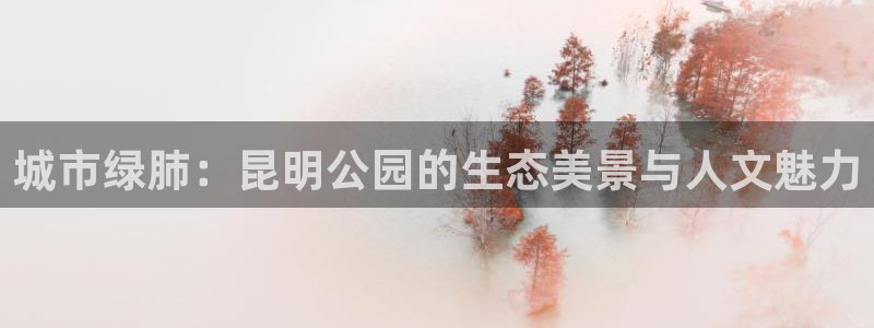 新宝gg 创造