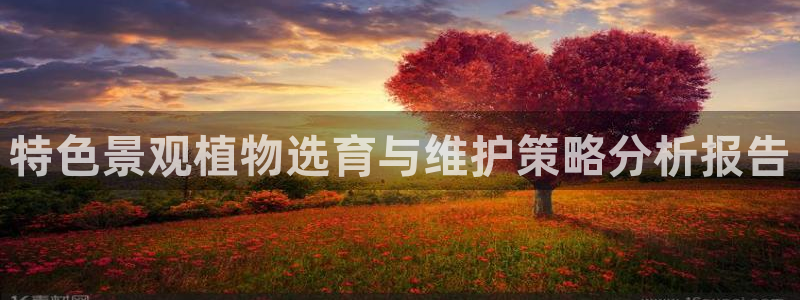 新宝gg 平台怎么样