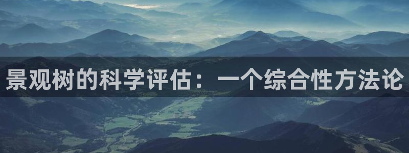 新宝GG国际