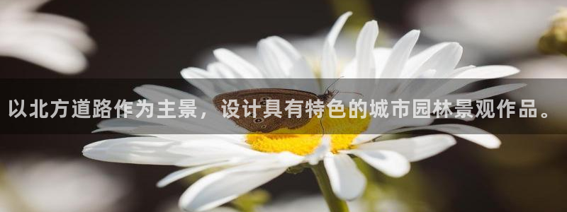新宝gg金砖彩票