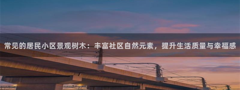 新宝gg—创造