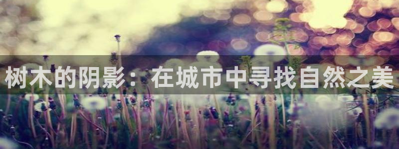 新宝gg开户