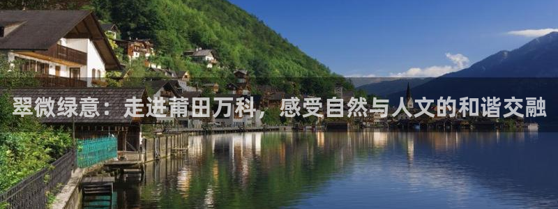 新宝gg平