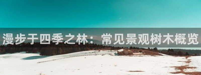 新宝gg娱乐上皇巢网