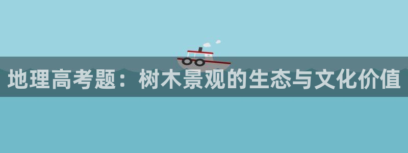gg新宝gg