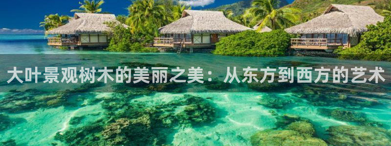 新宝gg 首页