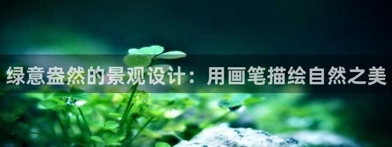 新宝gg 创造