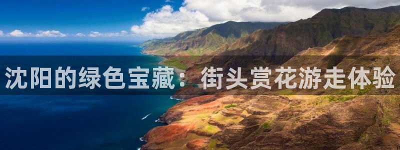 新宝gg找回账号