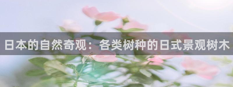新宝gg招商