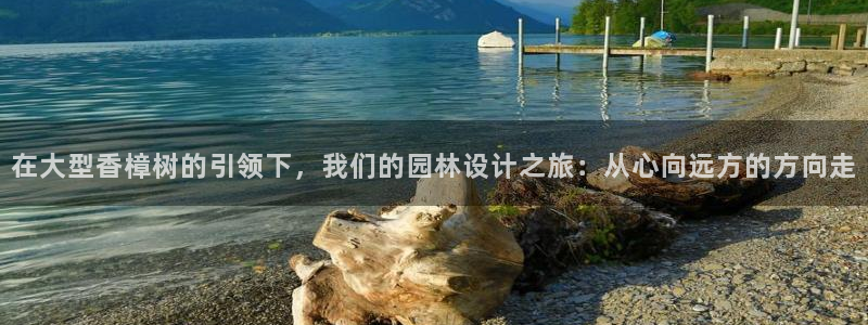 娱乐世界新宝gg