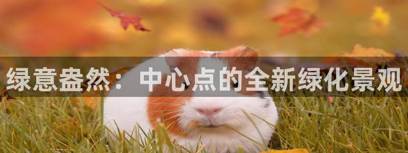 新宝六与新宝gg