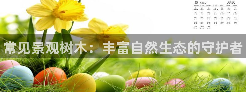 新宝gg公司