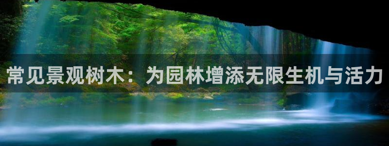 新宝gg和新宝123