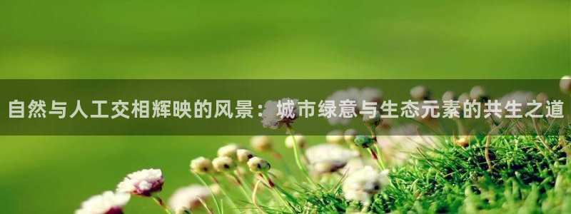 新宝gg在哪开户