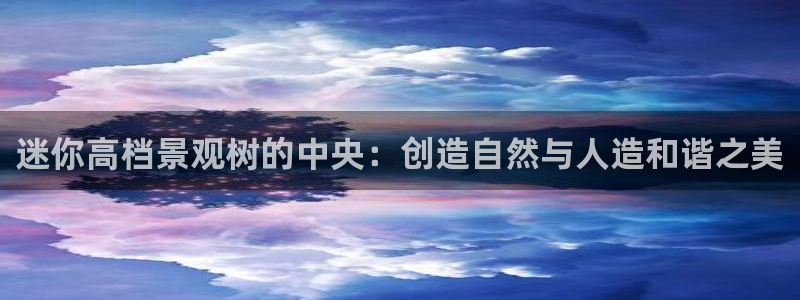新宝gg真的