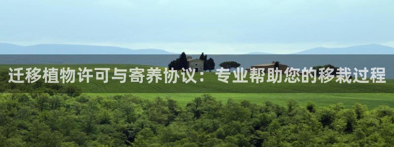 新宝gg至55312