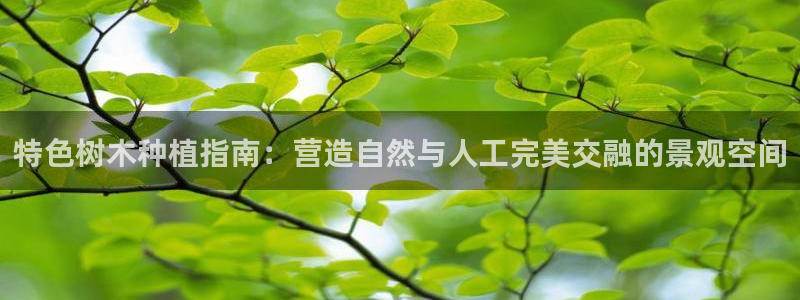 新宝gg吧