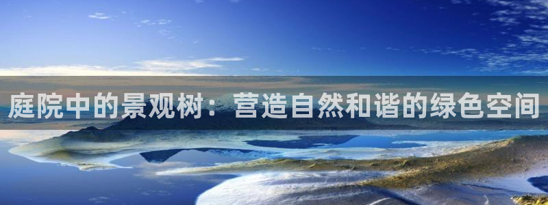 新宝GG最高返点多少