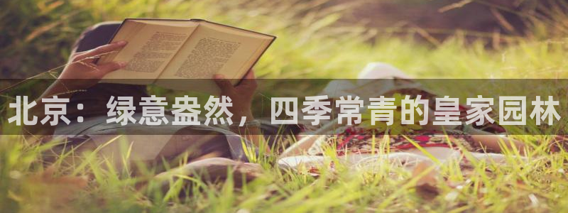 新宝gg指定平台