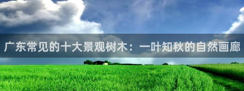 新宝gg平台下载安装