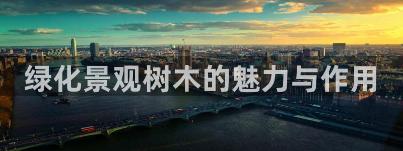 新宝gg作弊