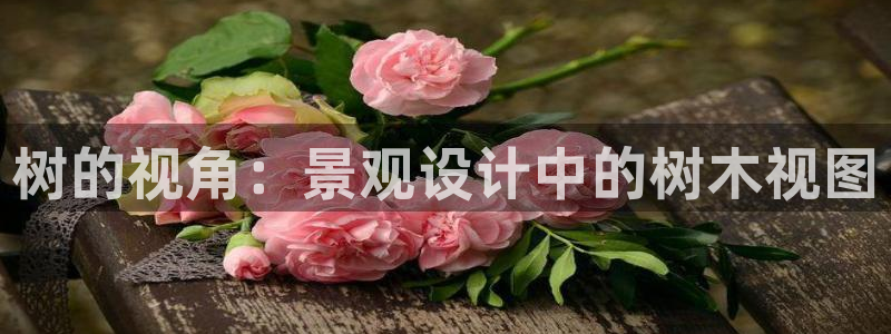 新宝gg 彩票