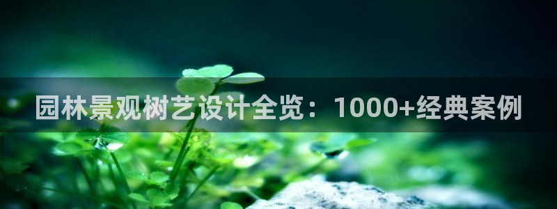 新宝GG都有哪些计划