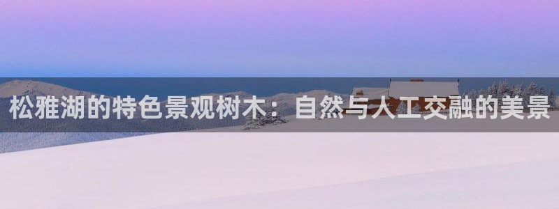 新宝gg娱乐盟主