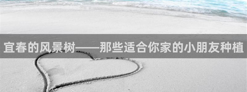 新宝gg欢迎