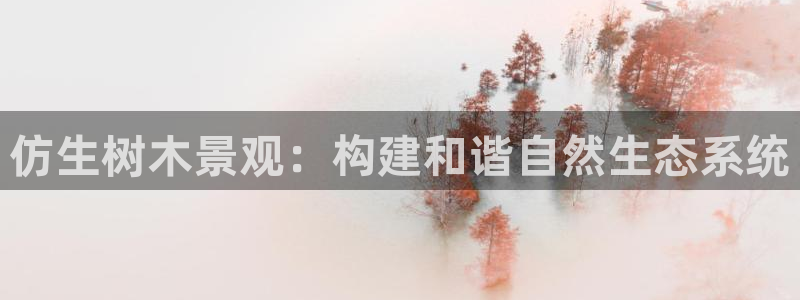 新宝gg是什么