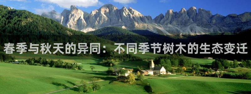 新宝gg创造奇迹 新宝gg