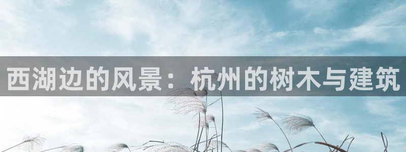 新宝GG53339咨询新宝GG