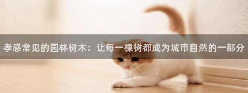 新宝gg玩