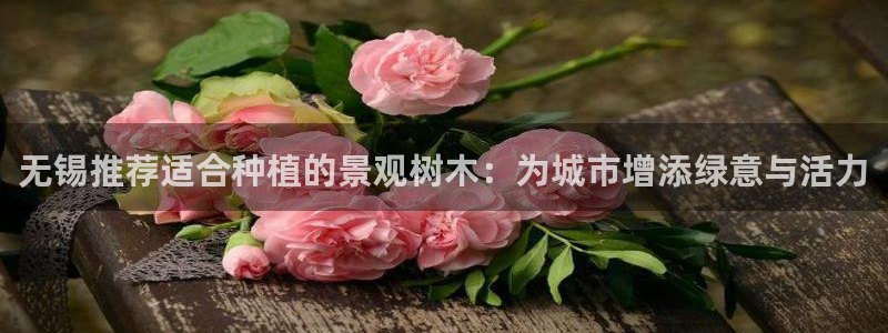 新宝gg主管、