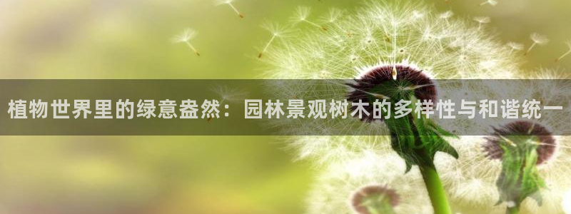 新宝gg真的能赚钱么