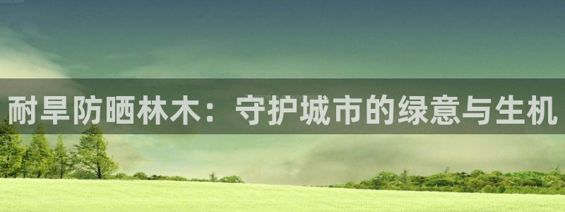新宝gg为什么没人管