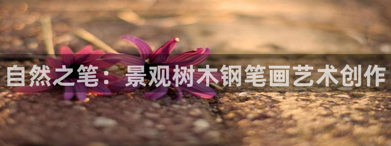 新宝GG创业奇迹