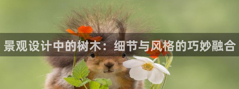 收新宝gg