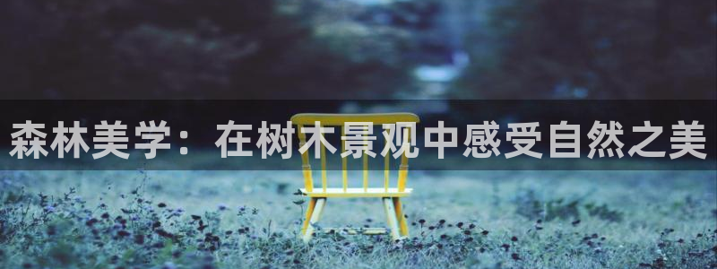 新宝gg平台开发