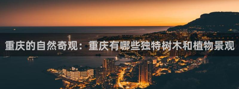 新宝gg如何代理