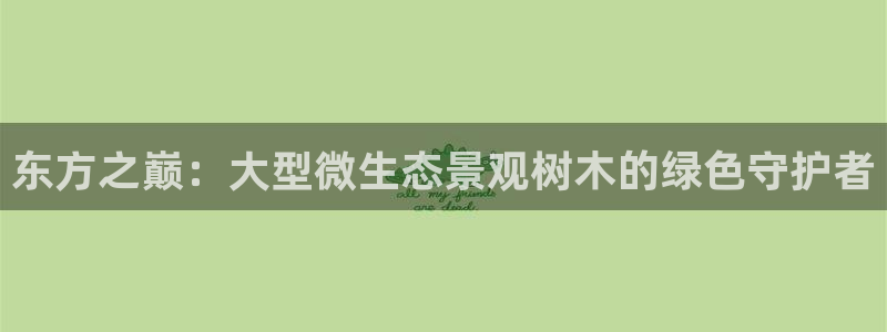 新宝gg平台开发