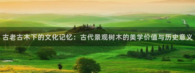 新宝GG官方域名