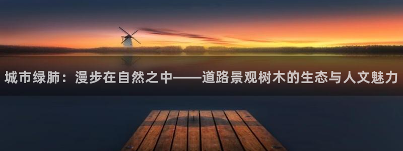 新宝gg找回账号