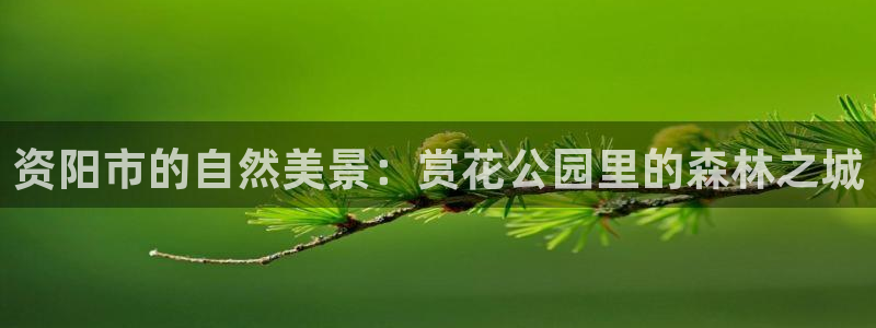 菲律宾新宝gg娱乐