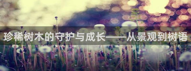 新宝gg龙腾