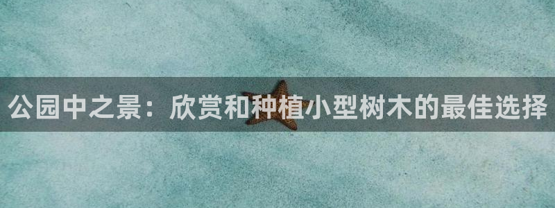 新宝gg官方主管