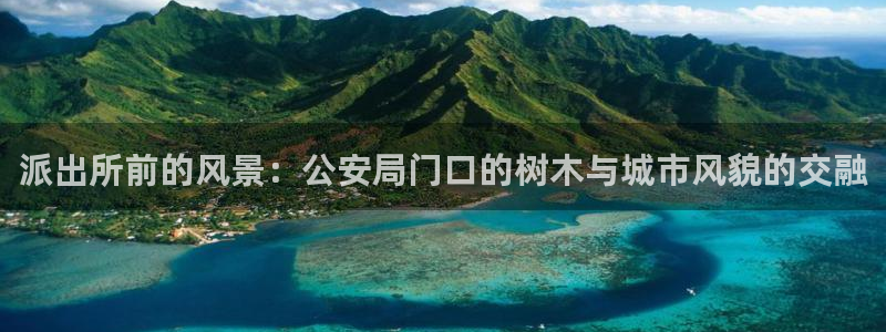 新宝gg返点