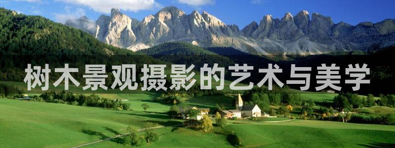 新宝gg官方下载