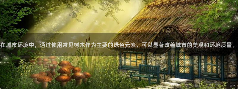 新宝gg彩票