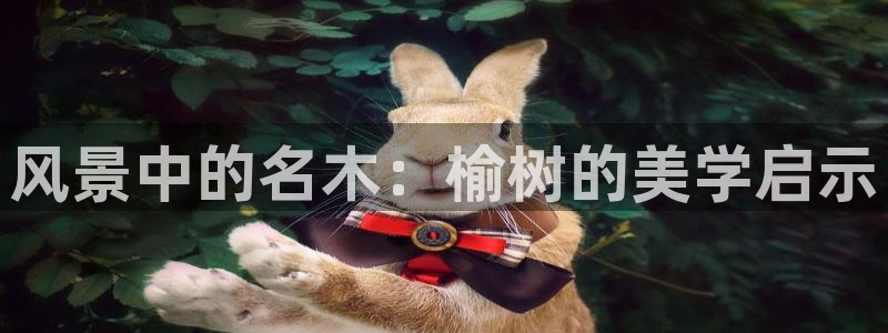 新宝gg指定平台